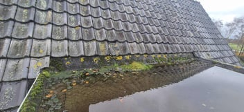 Dakonderhoud levenduur van uw dak verlengen.