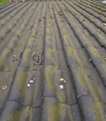 Dakcoatings om de levensduur van je dak te verlengen