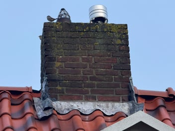 Dakprobleem of toeval?