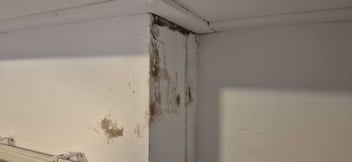 Vocht- en schimmelplekken op een binnenmuur als gevolg van een langdurige en terugkerende daklekkage