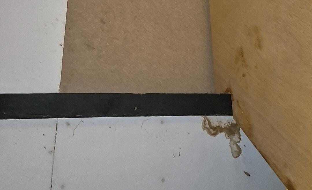 Schoorsteen lekkage zichtbaar als vochtplek op zolder