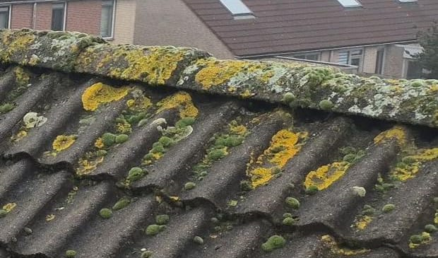 Sterk verouderde nokvorsten en dakpannen