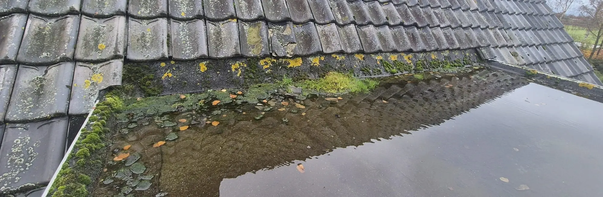 Dakonderhoud wat is zinvol