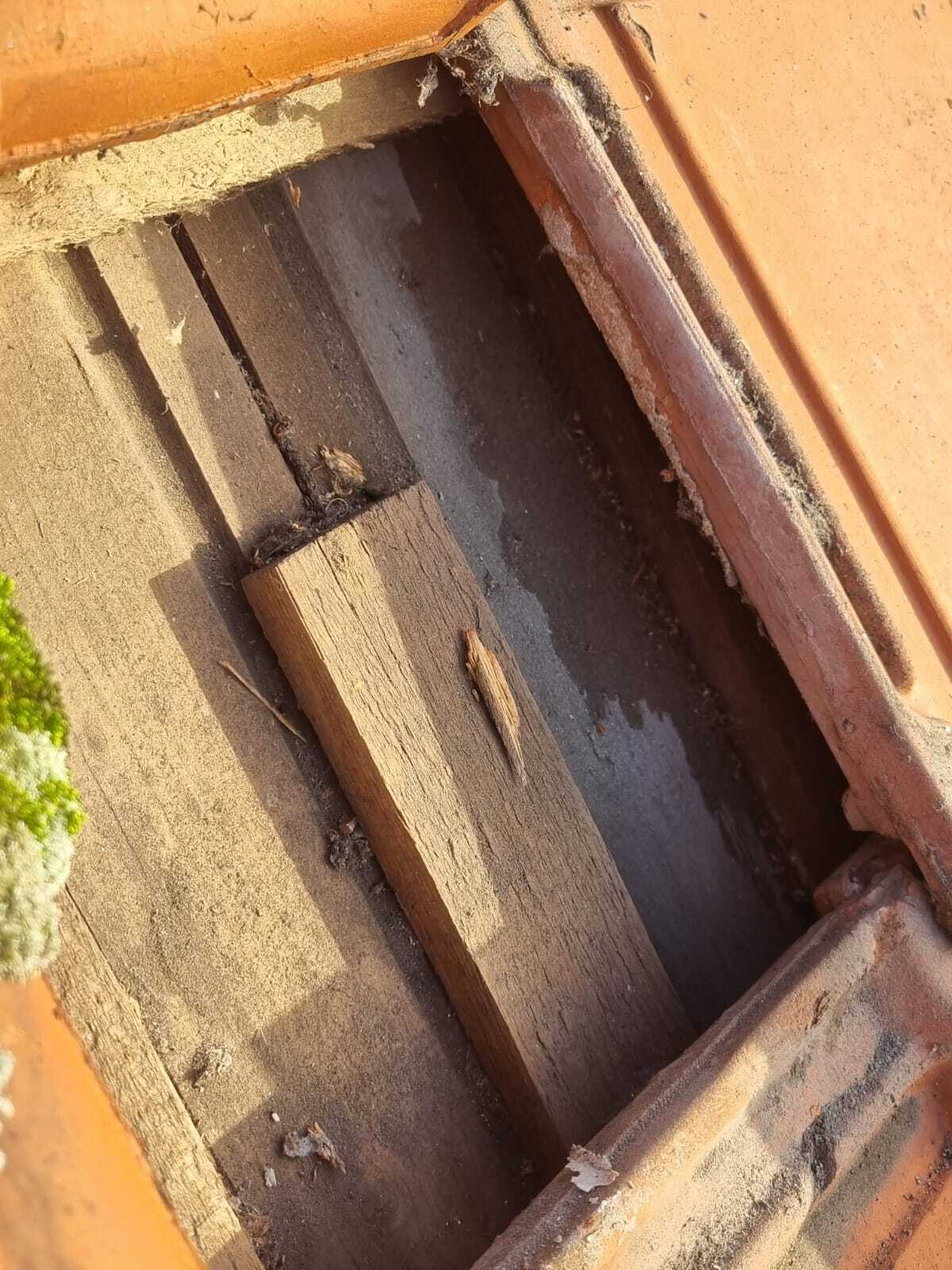 Wanneer dakschade zichtbaar wordt