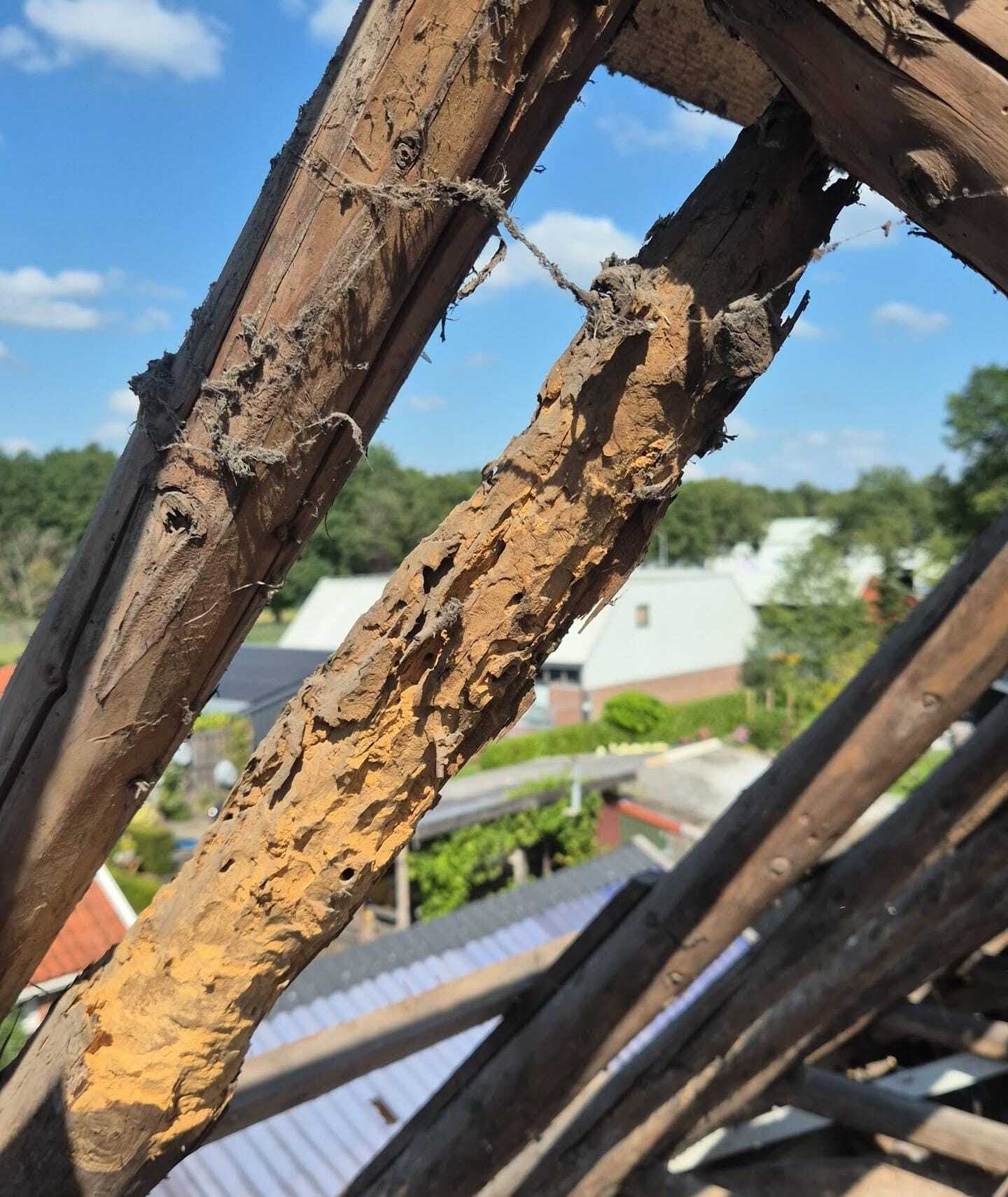 Constructieve schade door langdurige daklekkage