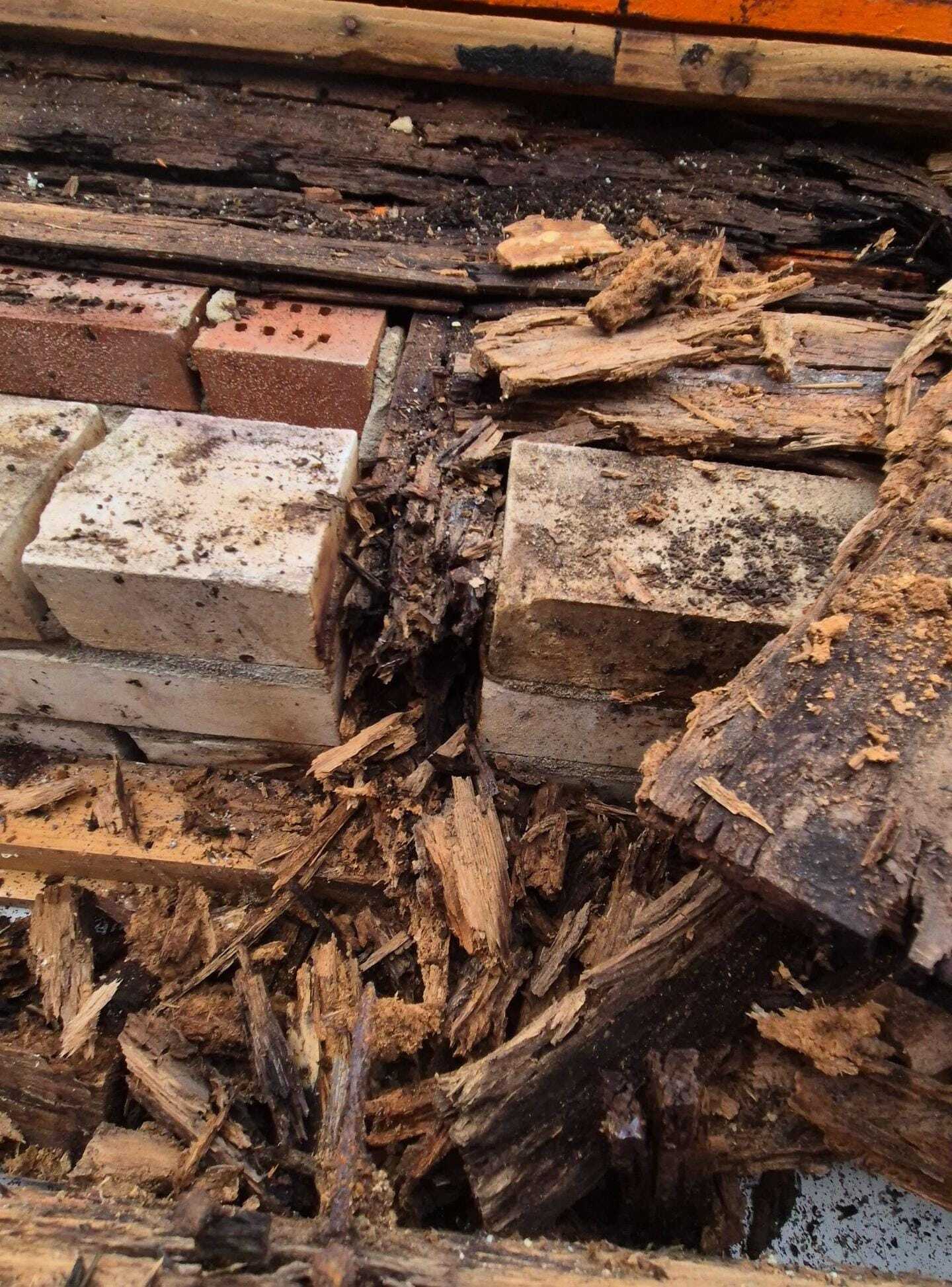 Houtrot in dakconstructies: hoe het ontstaat en waarom het gevaarlijk is